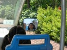 2008_summer_camp_026.jpg